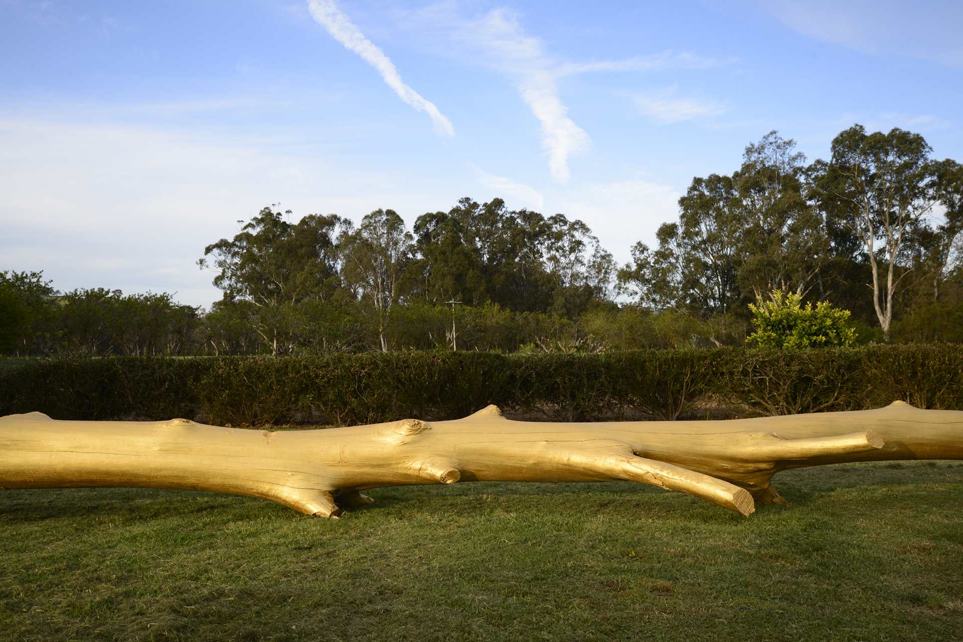 RECLINING TREE, Within the Land, Acheron, Australia, 2018. Installation by Karl Chilcott.